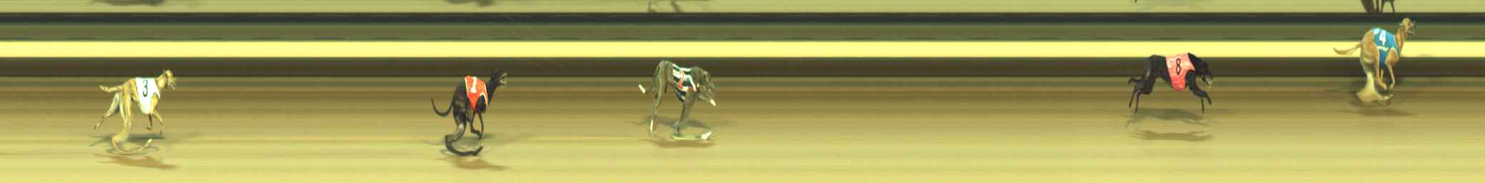 Photo finish for Warragul Race 1