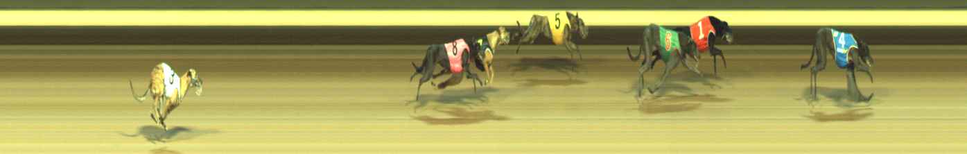 Photo finish for Warragul Race 2
