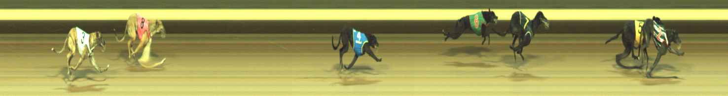 Photo finish for Warragul Race 4