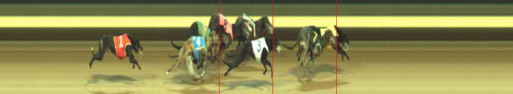 Photo finish for Warragul Race 5