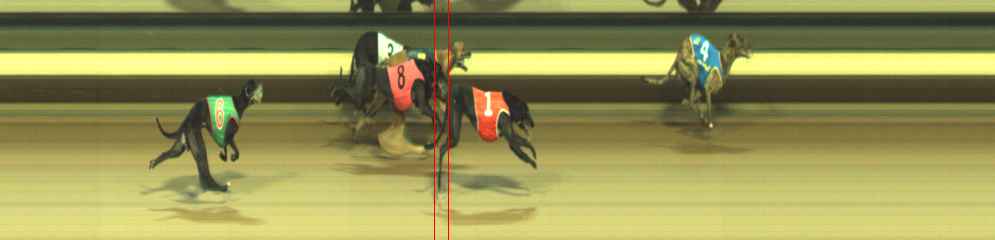 Photo finish for Warragul Race 7