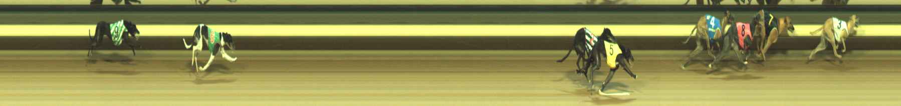 Photo finish for Warragul Race 8