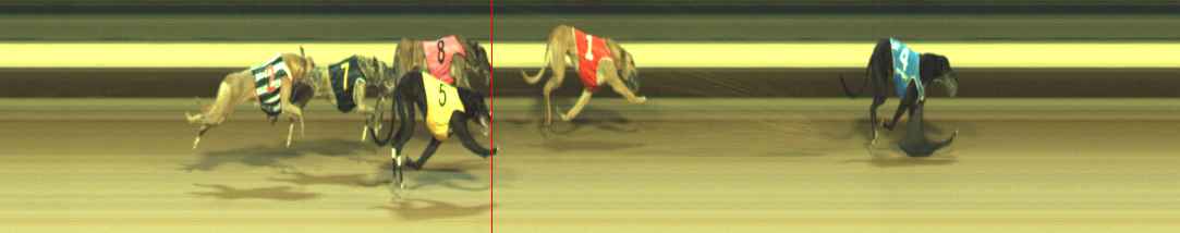 Photo finish for Warragul Race 9