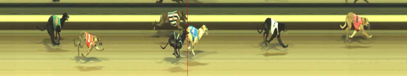 Photo finish for Warragul Race 10