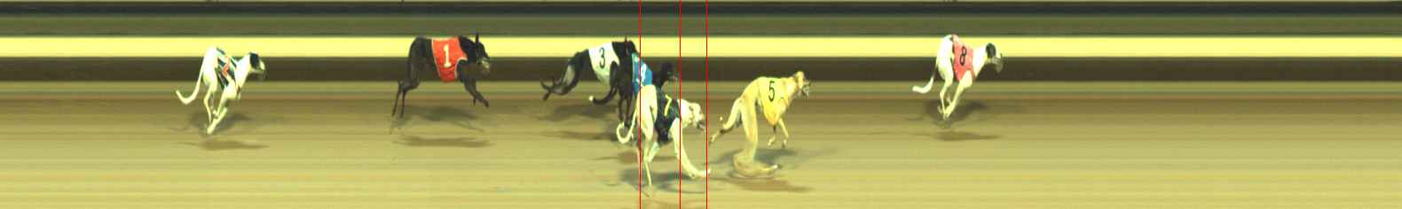 Photo finish for Warragul Race 12