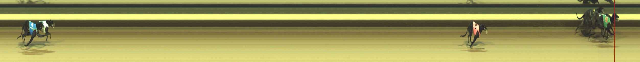 Photo finish for Warragul Race 1