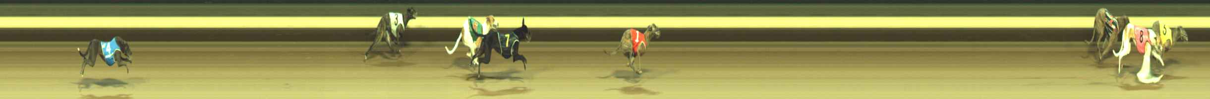 Photo finish for Warragul Race 2