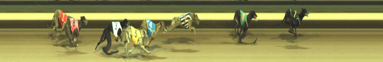Photo finish for Warragul Race 3