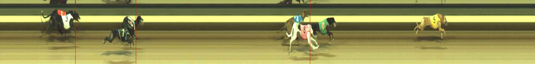 Photo finish for Warragul Race 5
