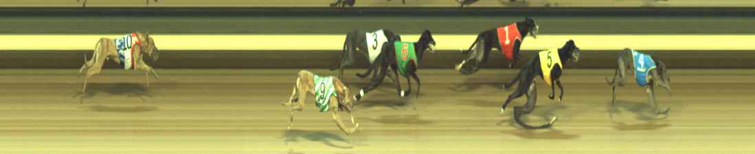 Photo finish for Warragul Race 6