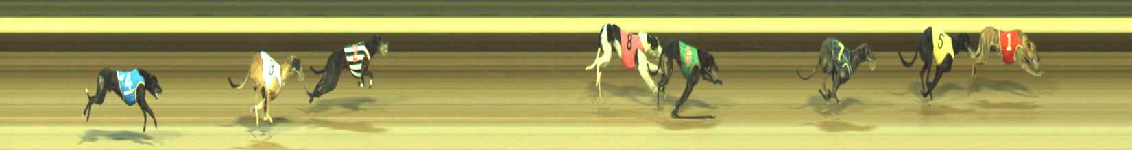 Photo finish for Warragul Race 7