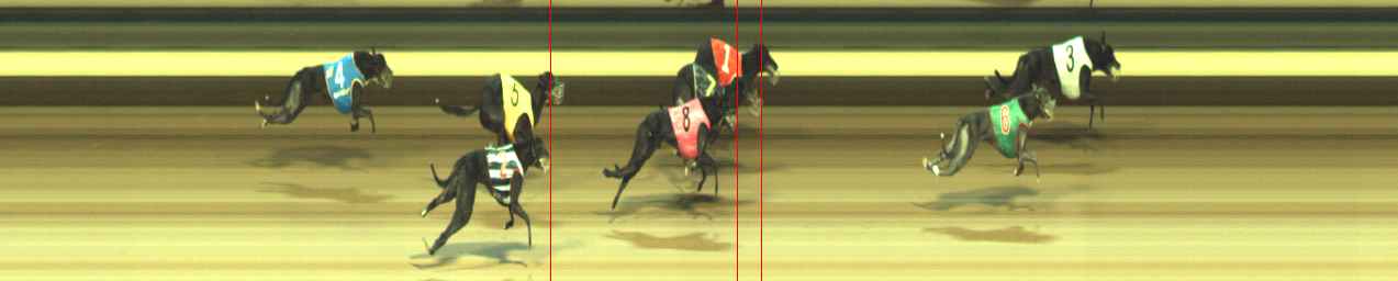 Photo finish for Warragul Race 8
