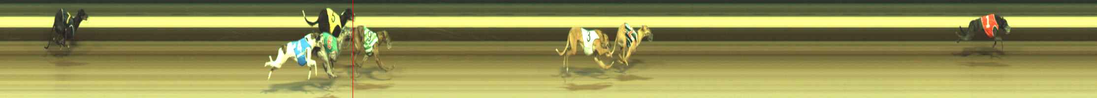 Photo finish for Warragul Race 9