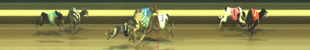 Photo finish for Warragul Race 11