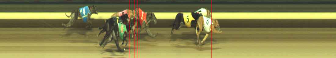 Photo finish for Warragul Race 12