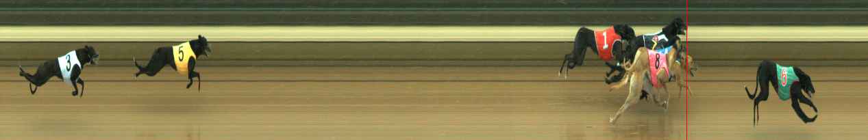 Photo finish for Warragul Race 1