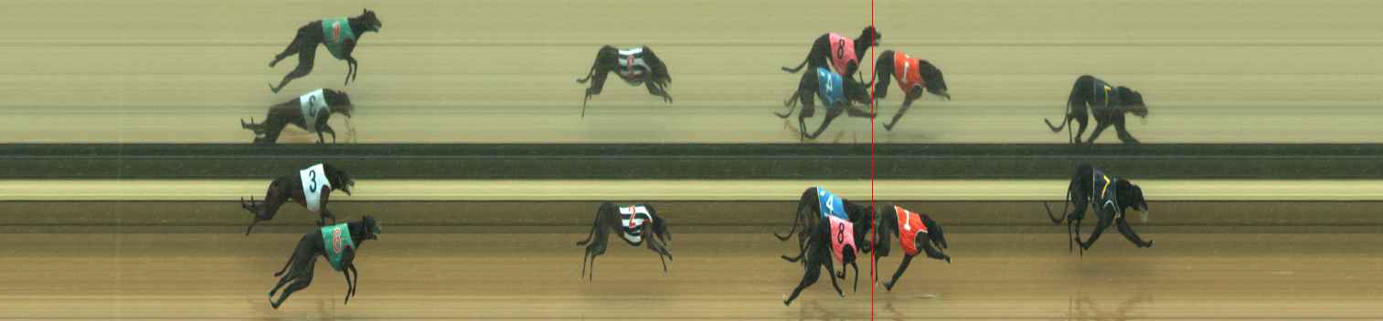 Photo finish for Warragul Race 2