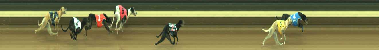 Photo finish for Warragul Race 5