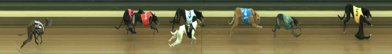 Photo finish for Warragul Race 6