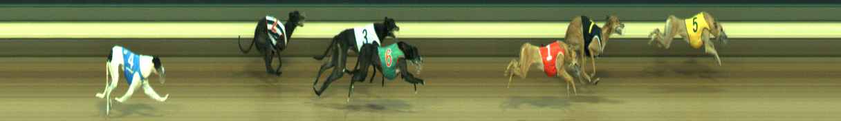 Photo finish for Warragul Race 8