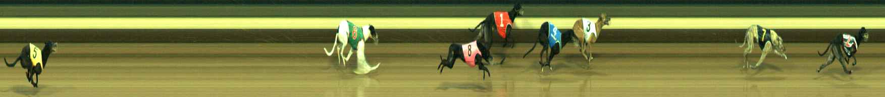 Photo finish for Warragul Race 9