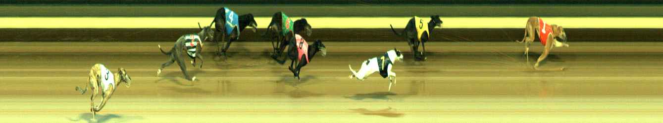 Photo finish for Warragul Race 11