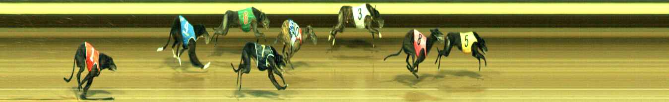 Photo finish for Warragul Race 12