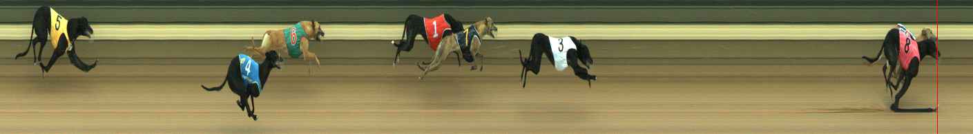 Photo finish for Warragul Race 1