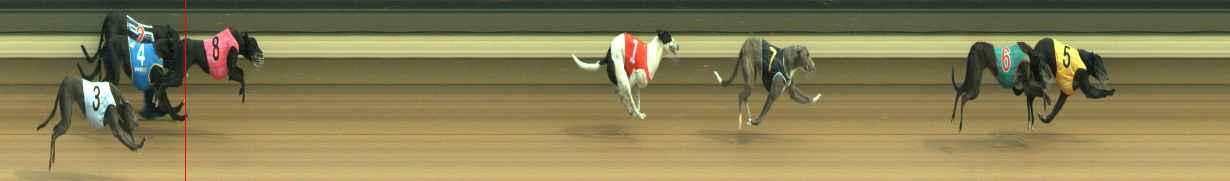 Photo finish for Warragul Race 2