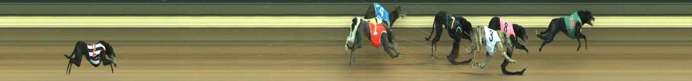 Photo finish for Warragul Race 3