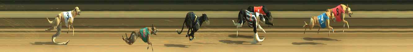Photo finish for Warragul Race 4