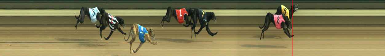 Photo finish for Warragul Race 5