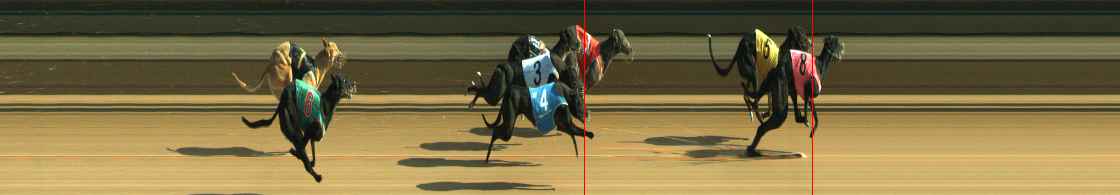 Photo finish for Warragul Race 6