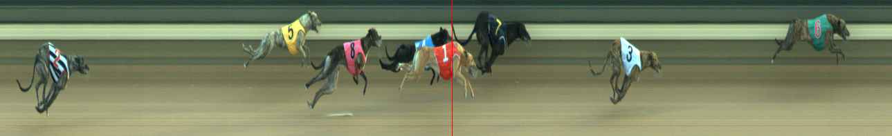 Photo finish for Warragul Race 10