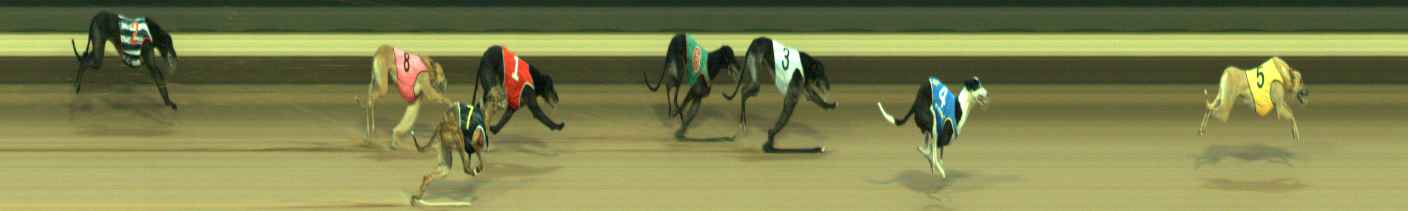Photo finish for Warragul Race 11