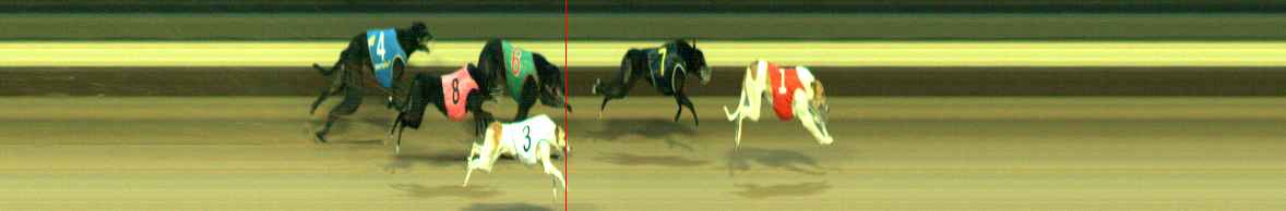 Photo finish for Warragul Race 12