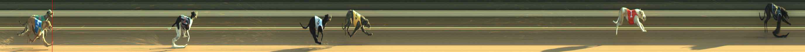 Photo finish for Warragul Race 1