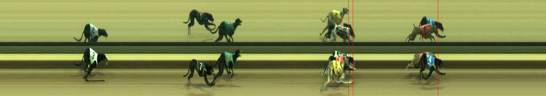 Photo finish for Warragul Race 3