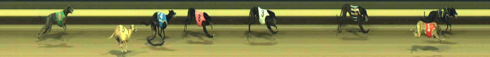 Photo finish for Warragul Race 4