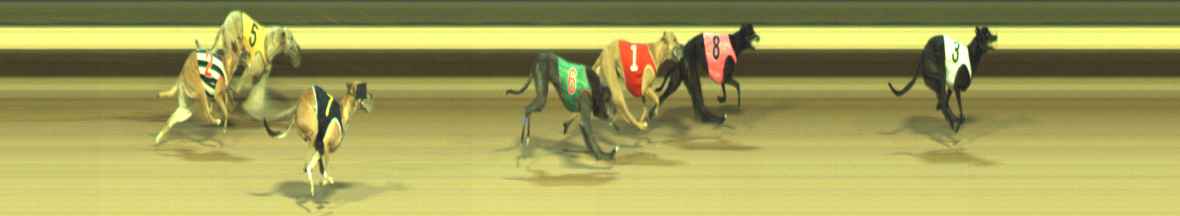 Photo finish for Warragul Race 5