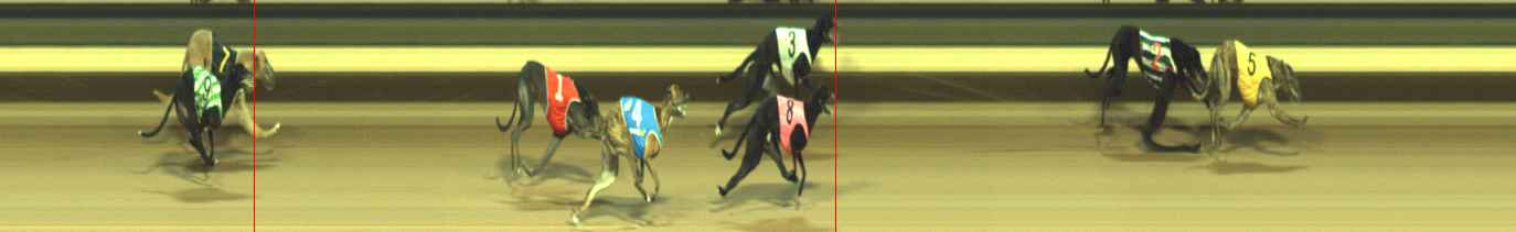 Photo finish for Warragul Race 8