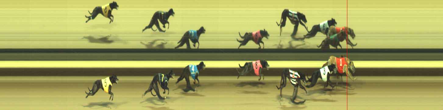 Photo finish for Warragul Race 9