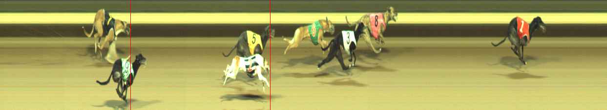 Photo finish for Warragul Race 12