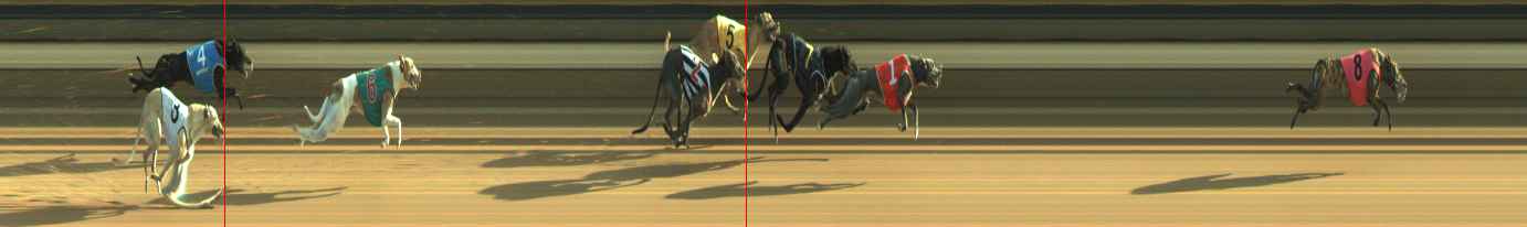 Photo finish for Warragul Race 10