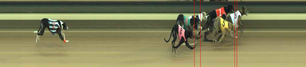 Photo finish for Warragul Race 11