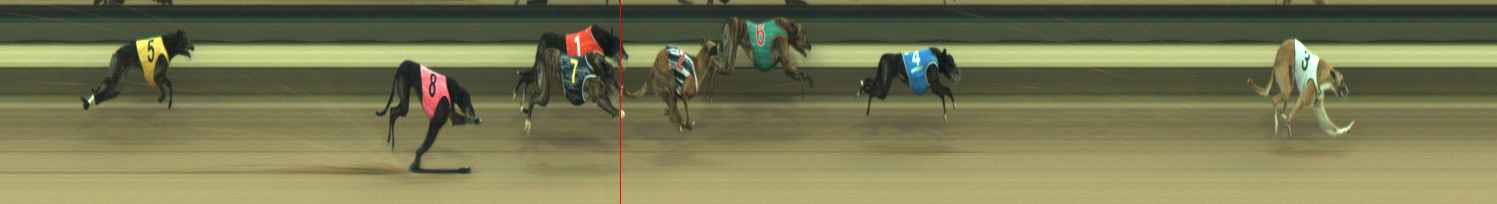 Photo finish for Warragul Race 12