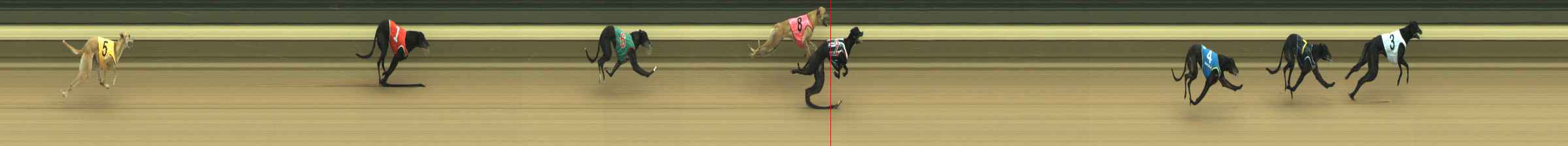 Photo finish for Warragul Race 2
