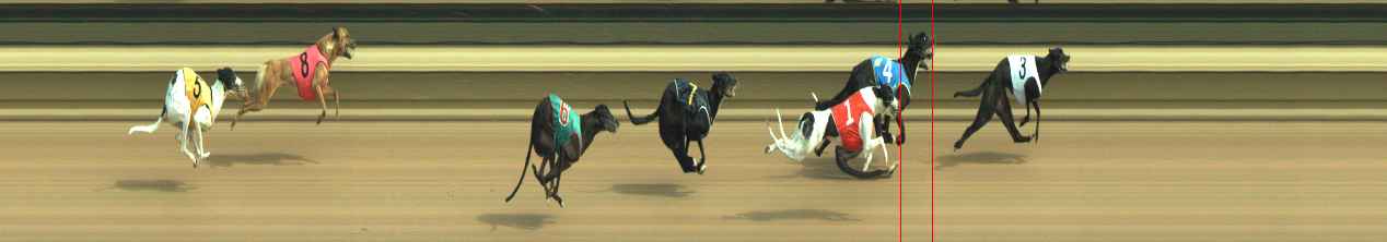 Photo finish for Warragul Race 3