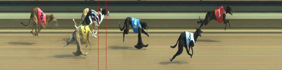 Photo finish for Warragul Race 5