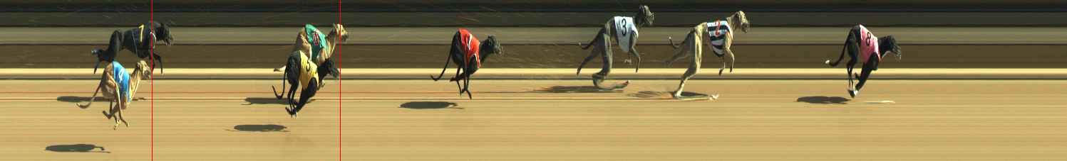 Photo finish for Warragul Race 6